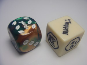 Custom Michtim Dice!